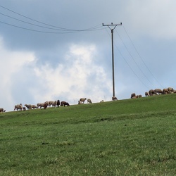 Panorama-Bilder